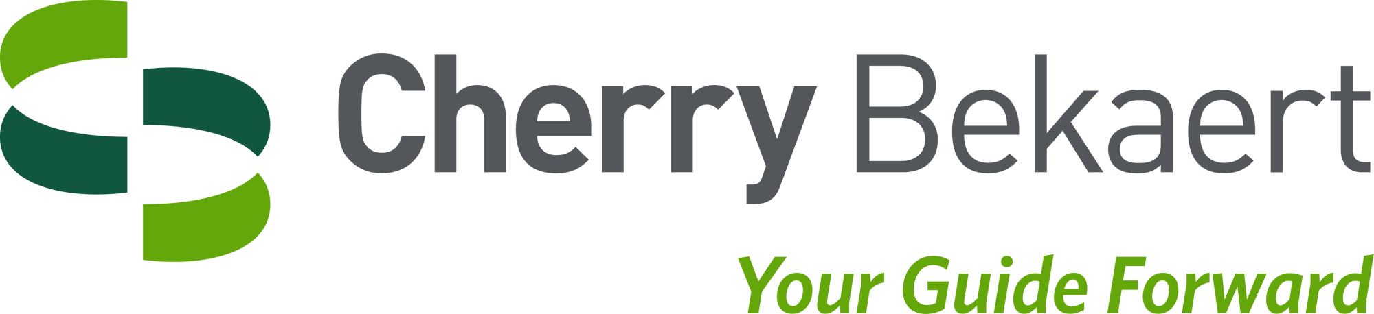 Cherry_Bekaert-Logo-Guide-Horizontal-RGB_300dpi