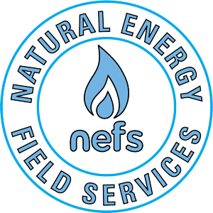 nefs-logo